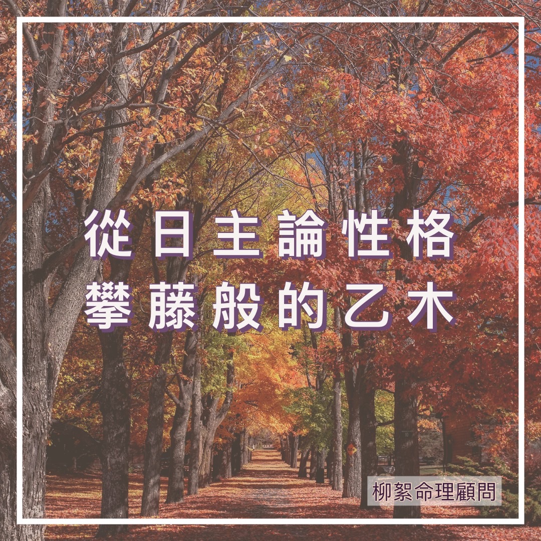 Read more about the article 從日主論性格-攀藤般的乙木